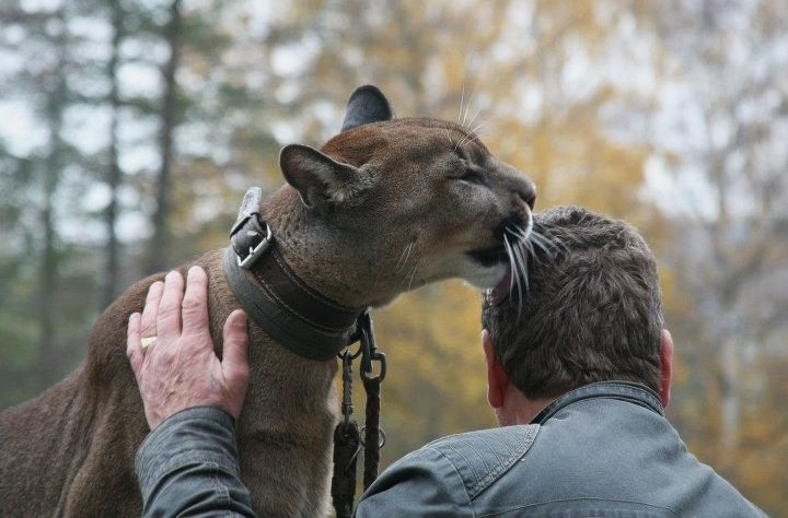 Fotografie je pouze ilustrační a nezachycuje aktéra uvedené kauzy