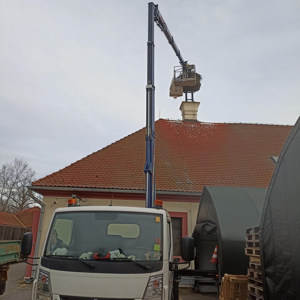 Čapí hnízdo váží až tunu. Jihočeská zoo ho zmenšila před příletem páru