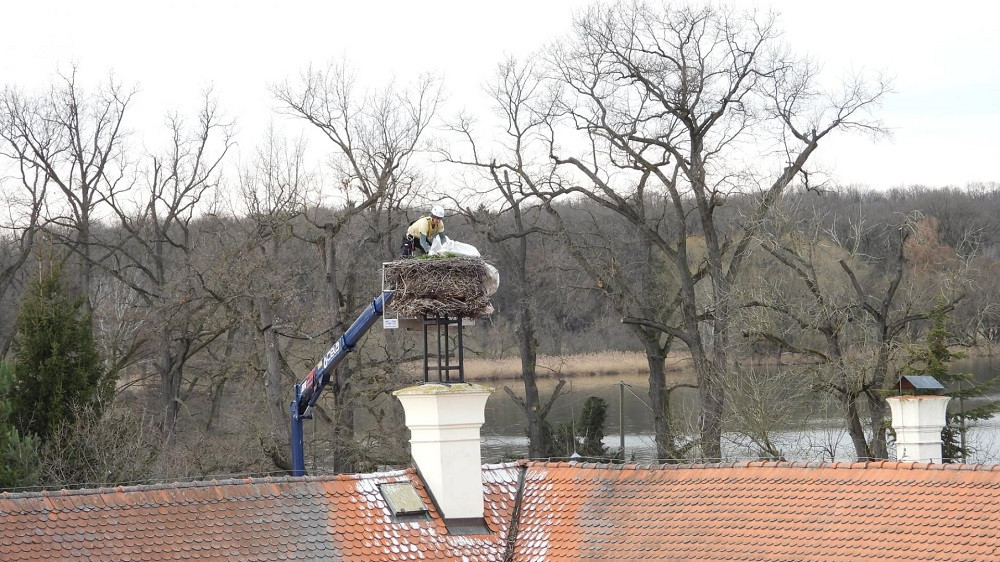 Čapí hnízdo váží až tunu. Jihočeská zoo ho zmenšila před příletem páru
