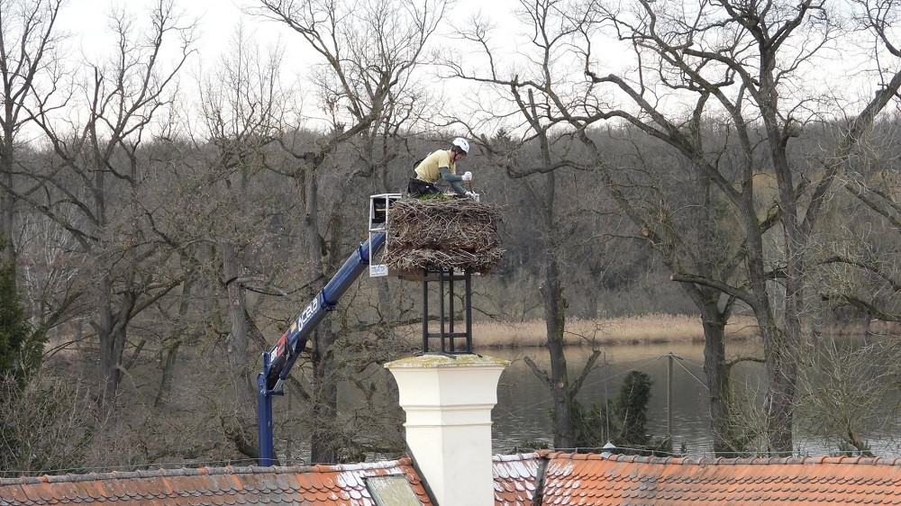 Čapí hnízdo váží až tunu. Jihočeská zoo ho zmenšila před příletem páru