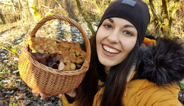 Šumavská houbička inspiruje tisíce lidí k houbařským výpravám do lesa v každém ročním období