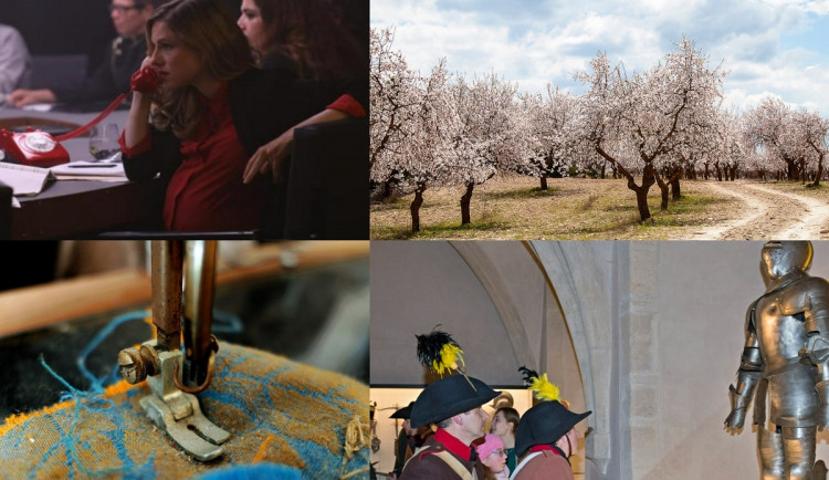 Kam o víkendu na jižní Moravě? Na filmový festival i k rozkvetlým mandloním