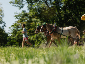 Nová sezóna Běhej lesy je za bukem a přináší hromadu novinek