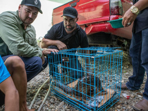 Ochranáři z liberecké a ostravské zoo pomohli dopadnout indonéského pašeráka ohrožených druhů zvířat