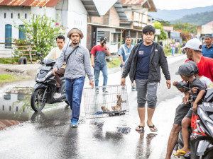 Indonéští ochranáři odváží nález do karantény