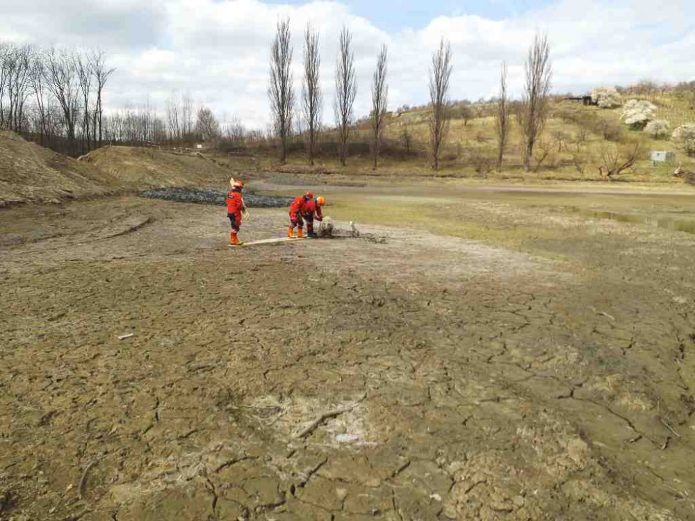 Hasiči pomáhali zvířatům v nesnázích. Zachránili koně i ovci
