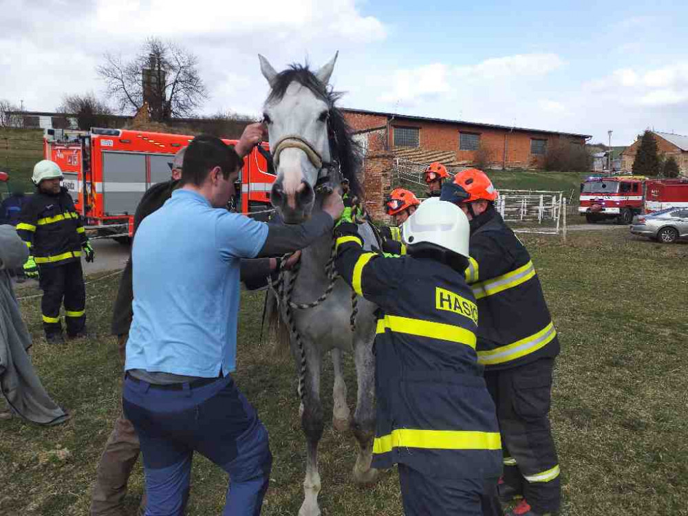 Hasiči pomáhali zvířatům v nesnázích. Zachránili koně i ovci