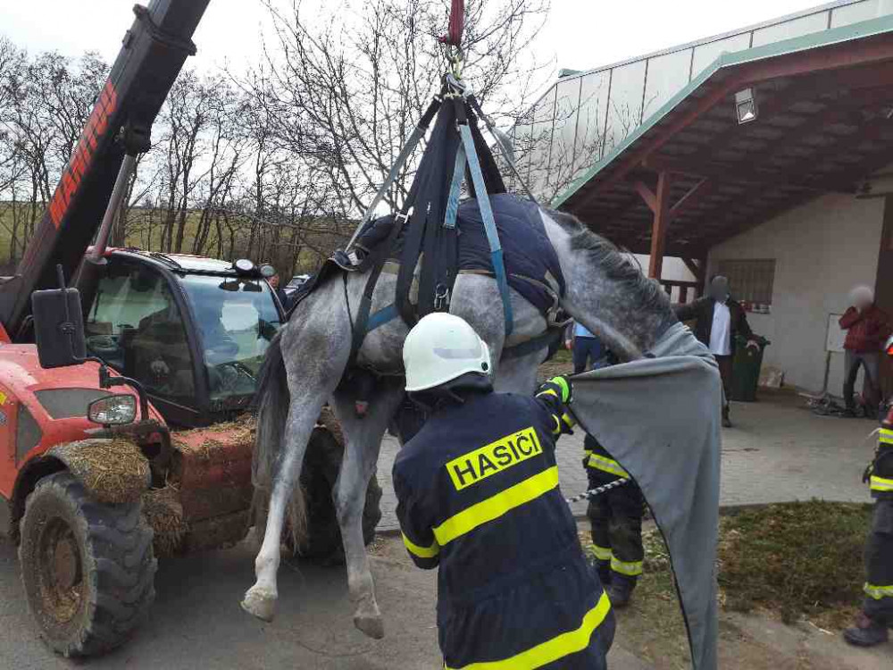 Hasiči pomáhali zvířatům v nesnázích. Zachránili koně i ovci