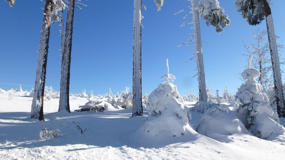 Na Šumavě padaly teplotní rekordy. Meteorologové naměřili minus 17 stupňů