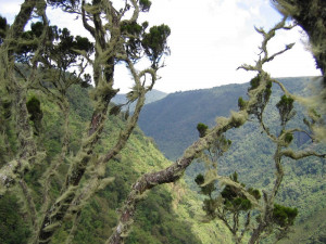 Pomáhaly zahánět zlé duchy. Cestovatel vystavuje v muzeu sbírku afrických masek