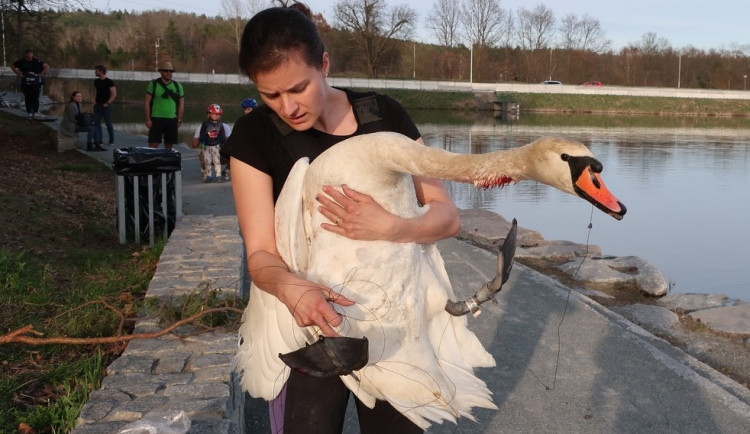 size4-16500294859352-231-statecna-zubni-lekarka-ma-unikatni-specializaci-primo-v-terenu-zachranuje-zivoty-zranenym-labutim