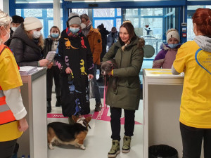 Většina Čechů souhlasí s přijímaním Ukrajinců, má ale i obavu o sociální jistoty