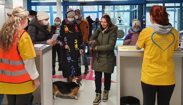 size4-16487401204157-152-krizovy-stab-vysociny-kompenzace-za-ubytovani-uprchliku-kraj-do-zakarpati-posle-dalsi-humanitarni-po