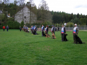 Eso mezi stopaři je služební pes Hektor. S policejním psovodem Petrem Zifčákem sbírá jednu trofej za druhou