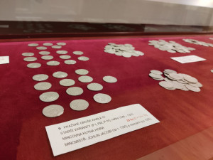 Pejskaři našli při procházce lesem stovky mincí z doby Karla IV., lidé teď mají jedinečnou šanci poklad spatřit