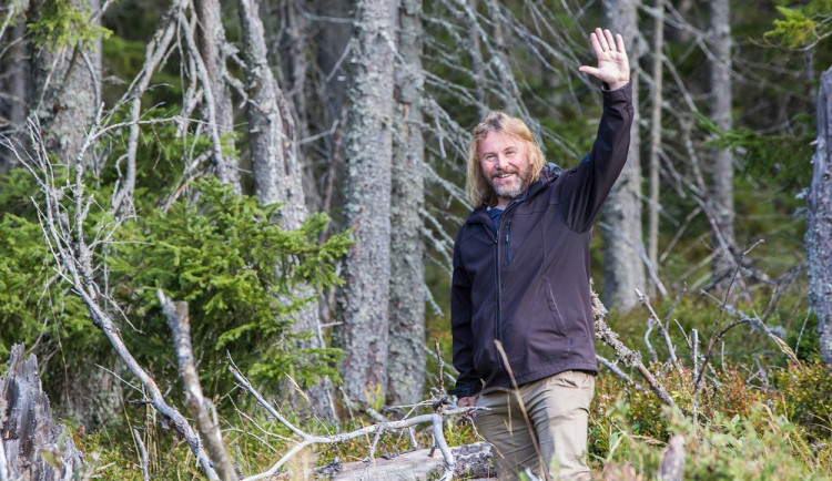 Viděl jsem zřícení souše při bezvětří. Boubínský prales se bude desítky let měnit, říká ředitel národního parku.