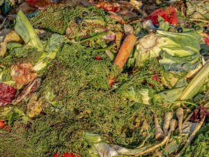 Vědci z Brna bojují s biologickým odpadem. Nová popelnice zabrání zápachu i výskytu hmyzu