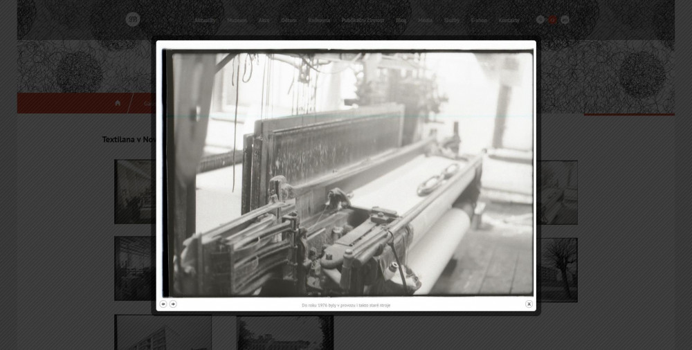 Severočeské muzeum vytvořilo elektronickou galerii historických fotografií