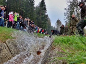 Želnavským smykem se po více než 60 letech plavilo dřevo. Rekonstrukce trvala tři roky