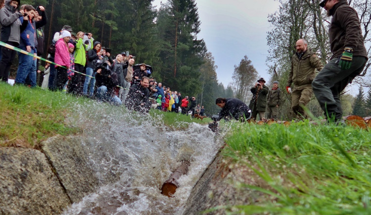 Želnavským smykem se po více než 60 letech plavilo dřevo. Rekonstrukce trvala tři roky.