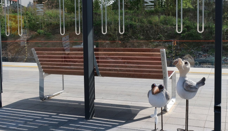 Prosklené zastávky hromadné dopravy zabijí ročně tisícovky ptáků, problém někteří projektanti vůbec neřeší.