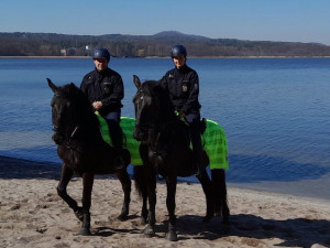 Jeden kůň budí větší respekt než deset policistů na zemi, říká vedoucí oddělení jízdní policie ve Frýdlantu