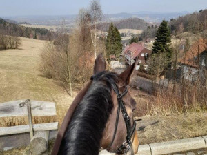 Jeden kůň budí větší respekt než deset policistů na zemi, říká vedoucí oddělení jízdní policie ve Frýdlantu