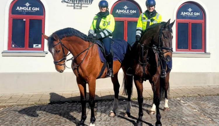 Jeden kůň budí větší respekt než deset policistů na zemi, říká vedoucí oddělení jízdní policie ve Frýdlantu.