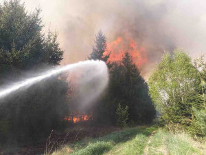 Vědci z Brna varují před častějšími lesními požáry. Může za ně klima a bezohlední lidé