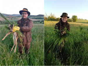 Každý rok zemře při sečích na loukách až 60 tisíc srnčat, zachraňují je dobrovolníci i dronaři s termokamerou