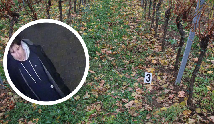 Sexuální útočník znásilnil ženu ve vinohradu. Policie je bezradná