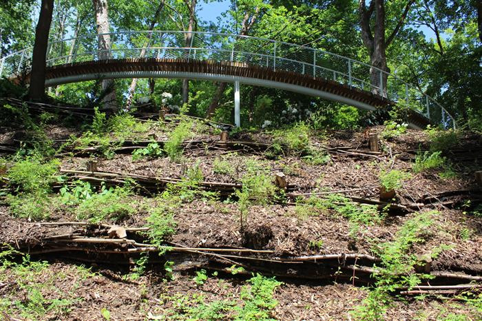 Aš proměnila bývalý evangelický hřbitov na park historie. Bude to turistický tahák, věří město