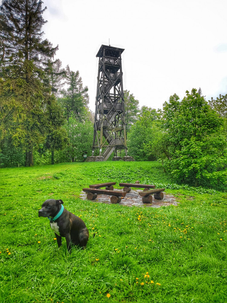TIP NA VÝLET: Rozhledna Velký Roudný nabízí krásné výhledy na Slezskou Hartu i na Praděd