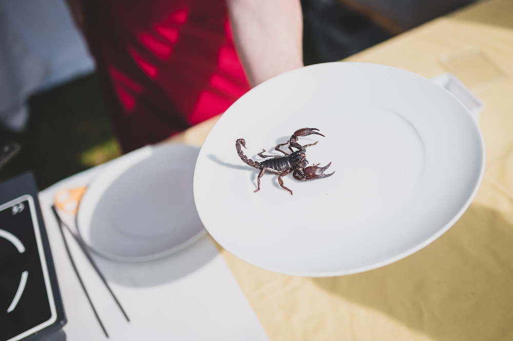 Průvodce Prima FRESH festivalem