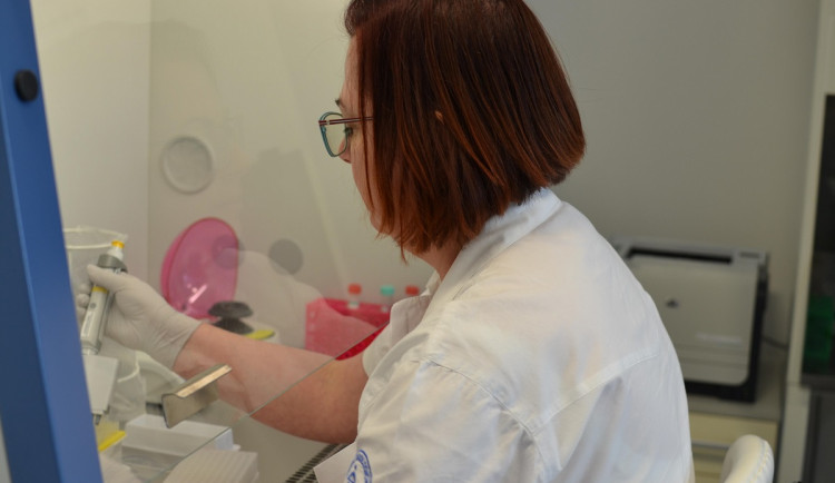 Ženy s rakovinou prsu se mohou vyhnout chemoterapii. Pomůže test v Brně