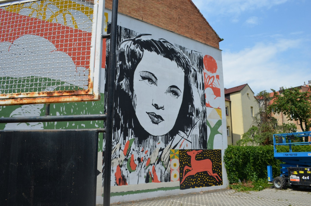 FOTO: Plzeň se díky festivalu WALLZ mění v obří umělecké plátno, podívejte se na nové street art kousky