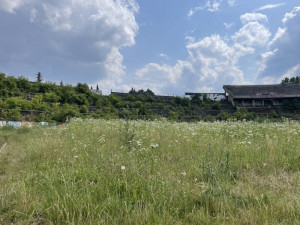Slavný fotbalový stadion Za Lužánkami zarůstá křovinami. Je to schválně, říká město