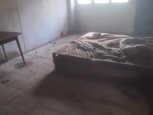 V otřesných podmínkách živořily desítky psů, díky spolkům na ochranu zvířat mají naději na normální život