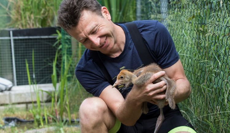 Obrovská ztráta pro celosvětovou lékařskou vědu i ochranu přírody, nečekaně zemřel patolog Ondřej Hes.