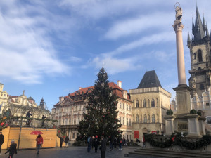 Praha hledá vánoční strom. Za tip na ten ideální je odměna deset tisíc