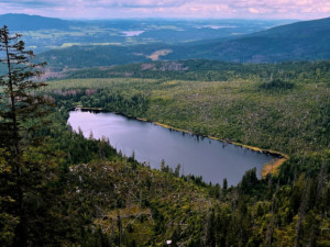 Strážci Národního parku Šumava budou mít kvůli agresivním turistům na uniformách kamery