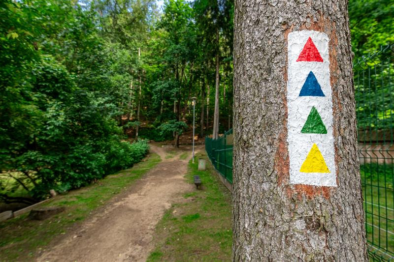 Červená, modrá, zelená a žlutá. Stromy na Heulose zdobí značky pro běžce, na výběr je více tras