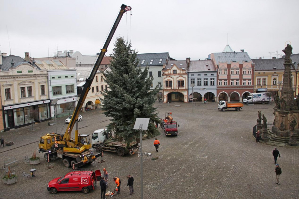 Dvůr Králové nad Labem hledá vánoční strom na náměstí T. G. Masaryka