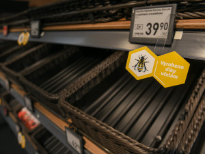 Bez včel bychom přišli o šedesát procent potravin.