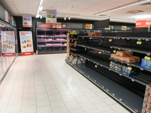 Bez včel bychom přišli o šedesát procent potravin.