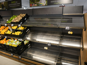 Bez včel bychom přišli o šedesát procent potravin.