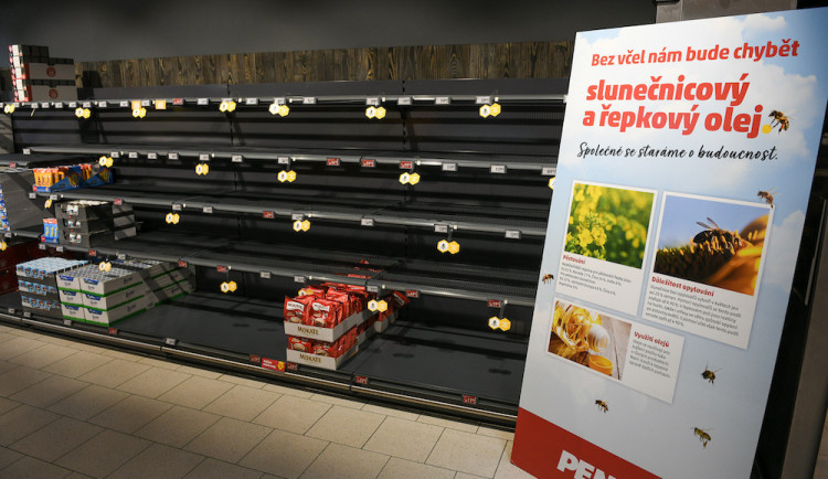 Bez včel bychom přišli o šedesát procent potravin.