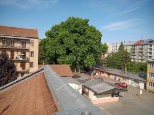 Lidé v Brně brojí proti stavbě věžáku. Developer nám pokácí stoleté stromy, zlobí se