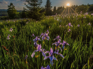 Jednou bych chtěl zachytit polární záři nad Šumavou, říká autor úchvatných fotografií Vladislav Hosnedl