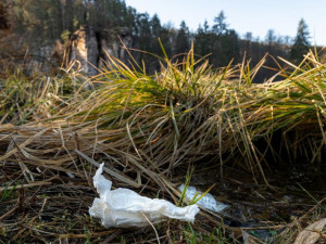 Lidské exkrementy v Českém ráji? Kampaň na smazání této lidské stopy pokračuje